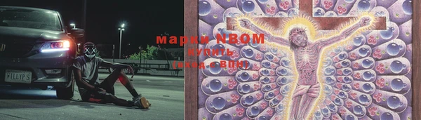шишки Горняк