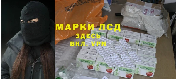шишки Горняк