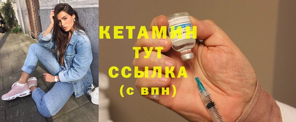 шишки Горняк