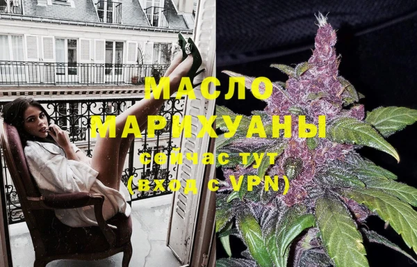 шишки Горняк