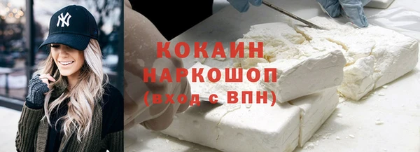 шишки Горняк