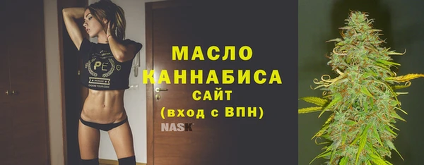шишки Горняк