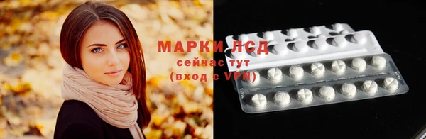 шишки Горняк