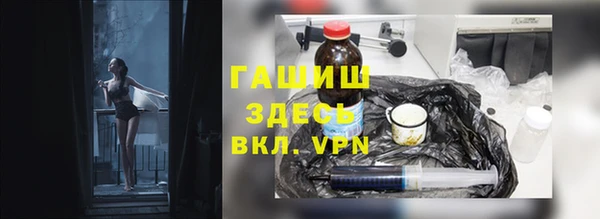 шишки Горняк