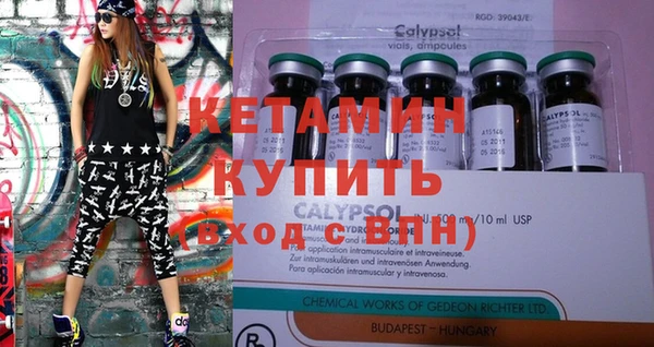 шишки Горняк