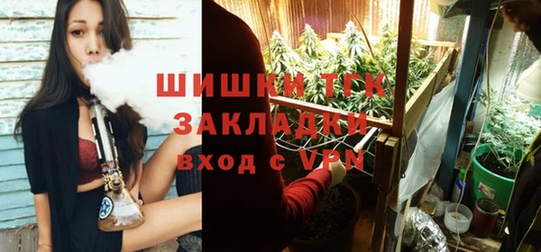 шишки Горняк