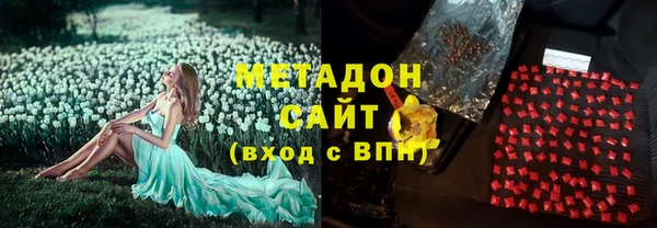 шишки Горняк