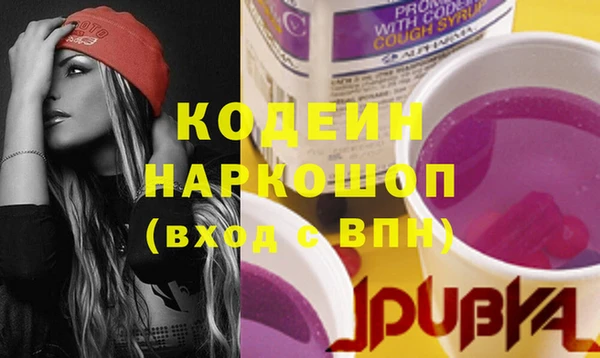 шишки Горняк