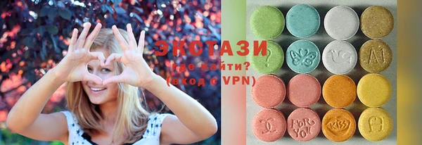 шишки Горняк